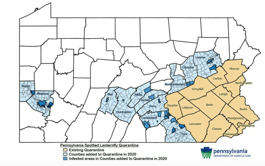 Pennsylvania Spotted Lanternfly Quarantine Counties
