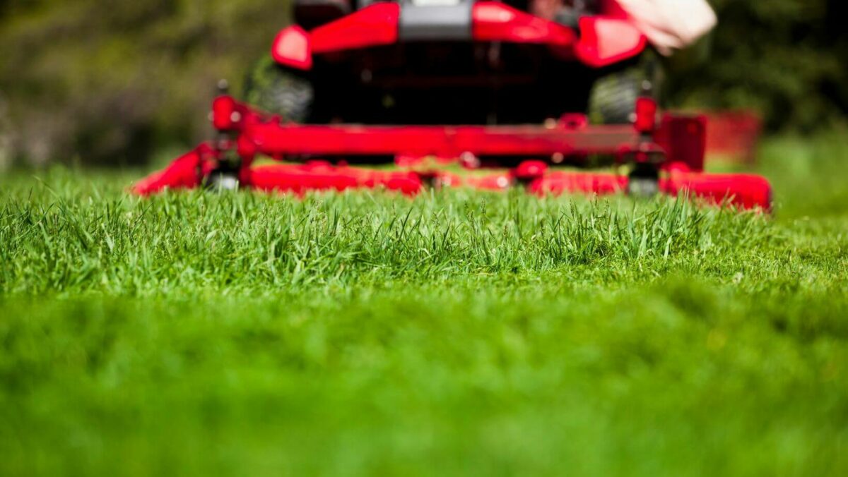 Preparing Your Lawn for Spring A StepbyStep Guide Turfcor