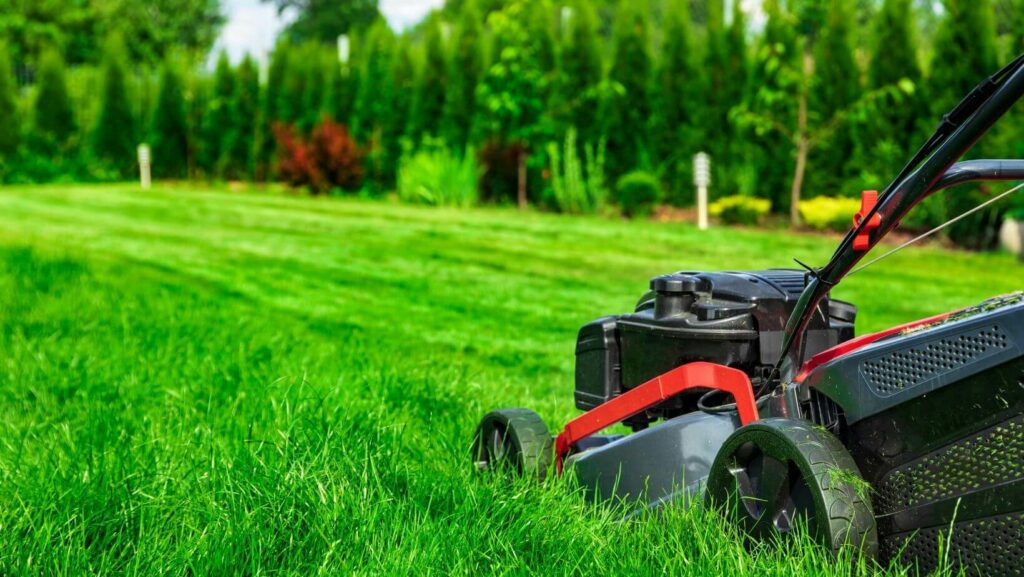 Spring Lawn Care Service Checklist for Eastern Pennsylvania | Turfcor ...